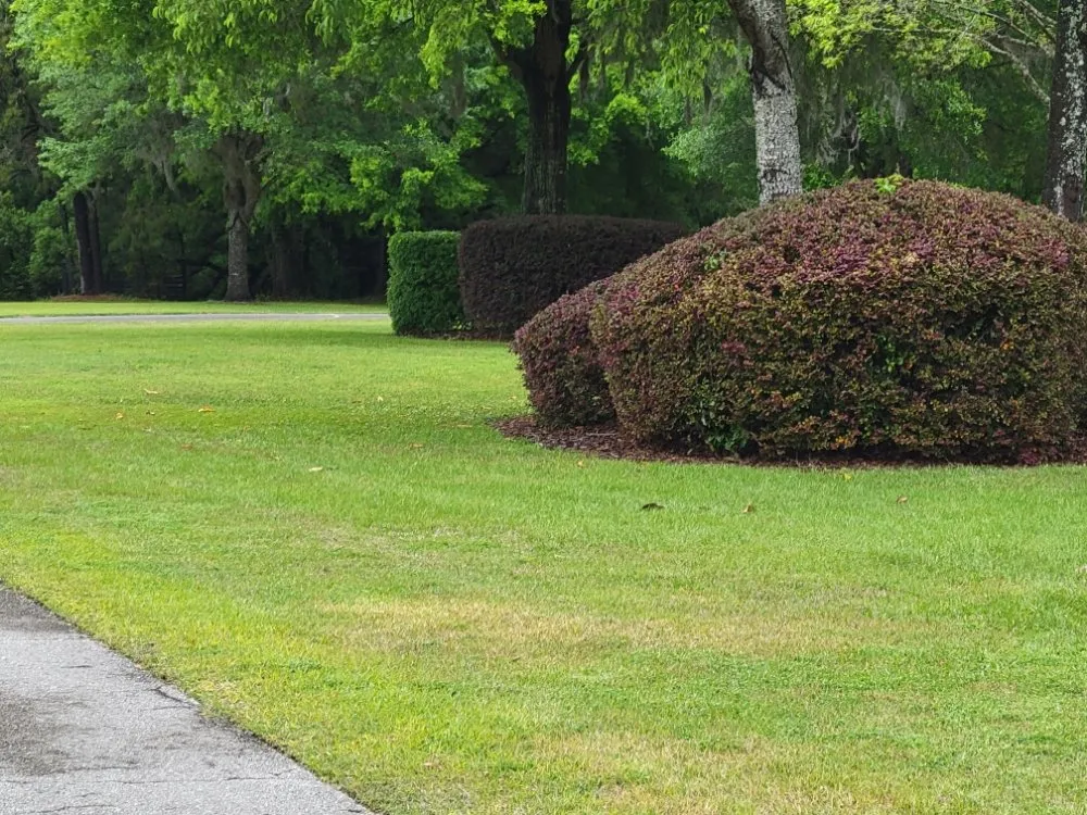 Custom lawn care service for year-round maintenance in Starke, FL by Hobbs Lawn Maintenance And Grooming
