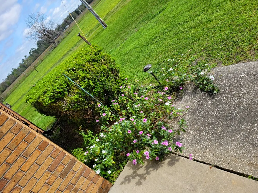 Reliable yard maintenance for year-round maintenance across Starke, FL - Hobbs Lawn Maintenance And Grooming