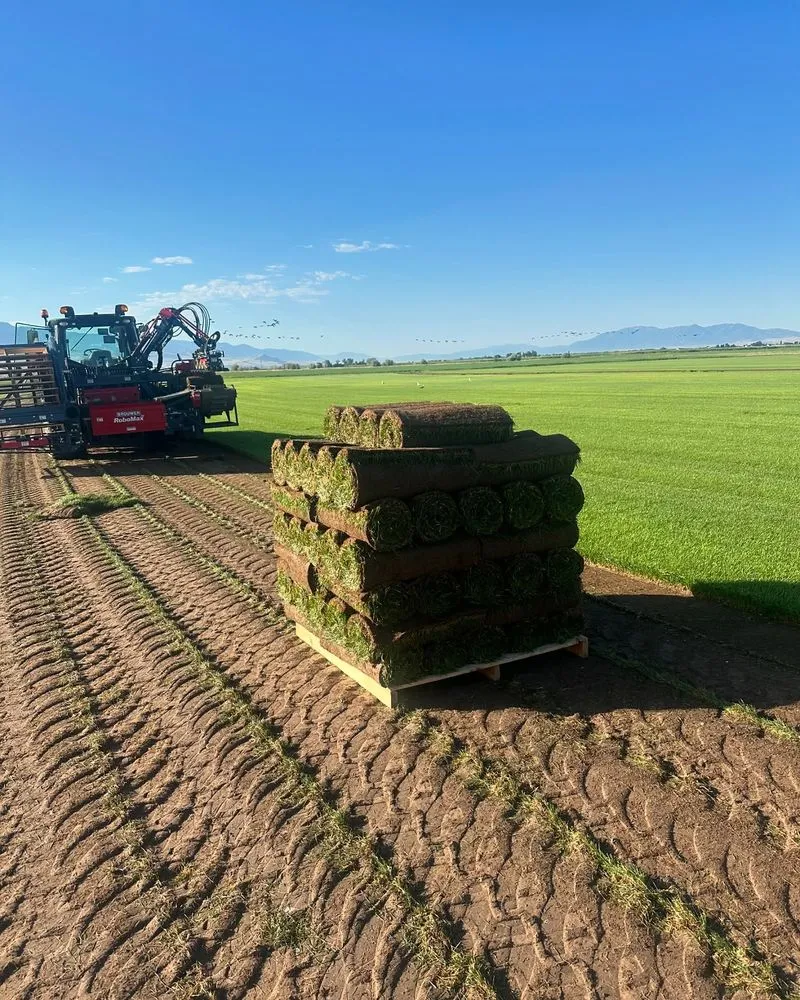 Expert landscape design near you in Preston, ID by Hobbs Turf Farms