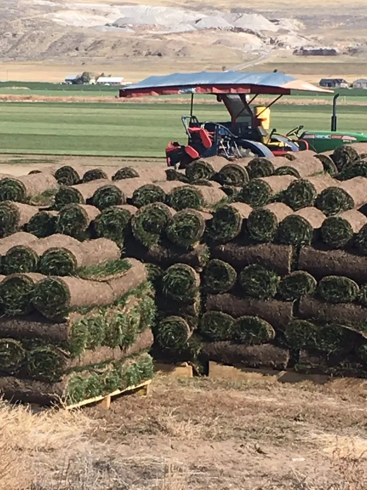Local yard maintenance for residential properties in Preston, ID by Hobbs Turf Farms
