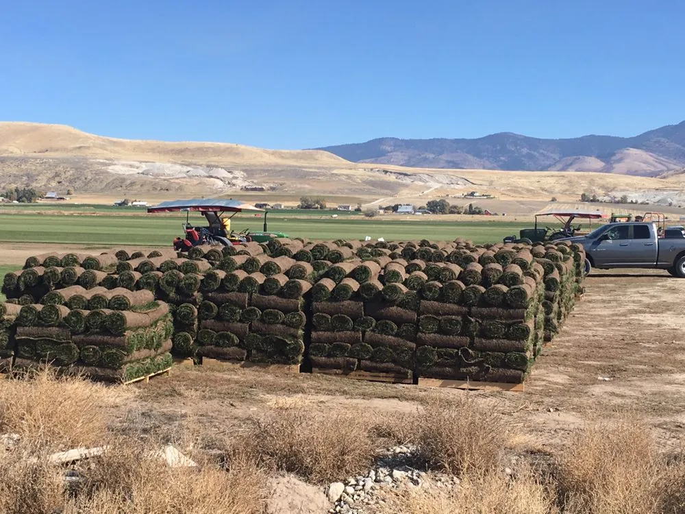 Top-rated yard cleanup service in Preston, ID by Hobbs Turf Farms