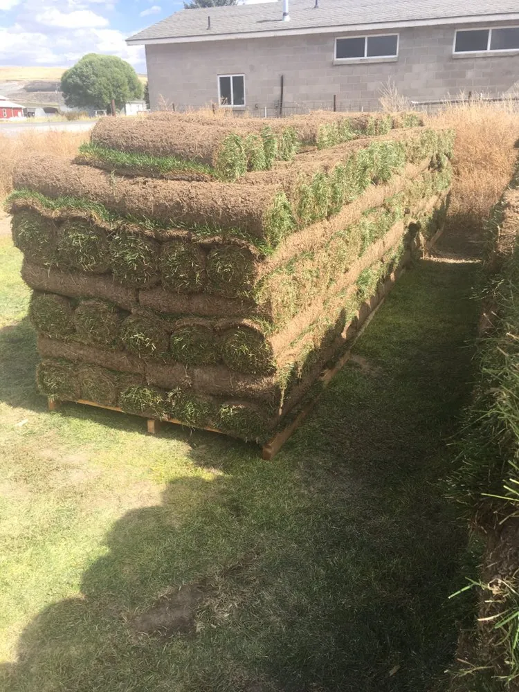 Reliable landscape installation experts serving Preston, ID - Hobbs Turf Farms