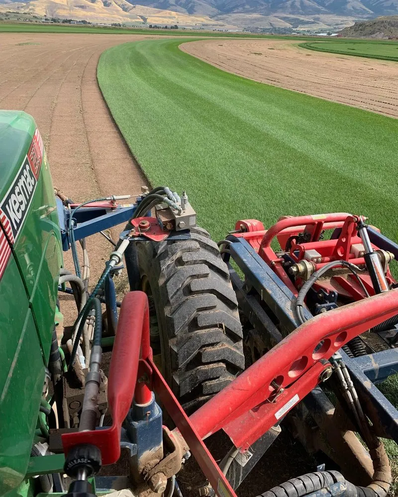 Expert yard cleanup service for beautiful yards across Preston, ID - Hobbs Turf Farms