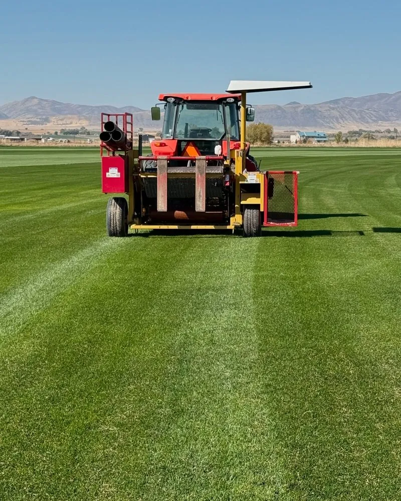 Reliable yard cleanup service in Preston, ID by Hobbs Turf Farms
