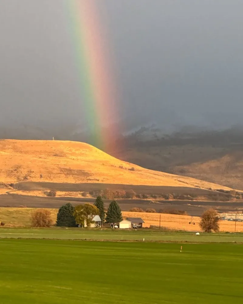 Custom residential landscaping in Preston, ID by Hobbs Turf Farms