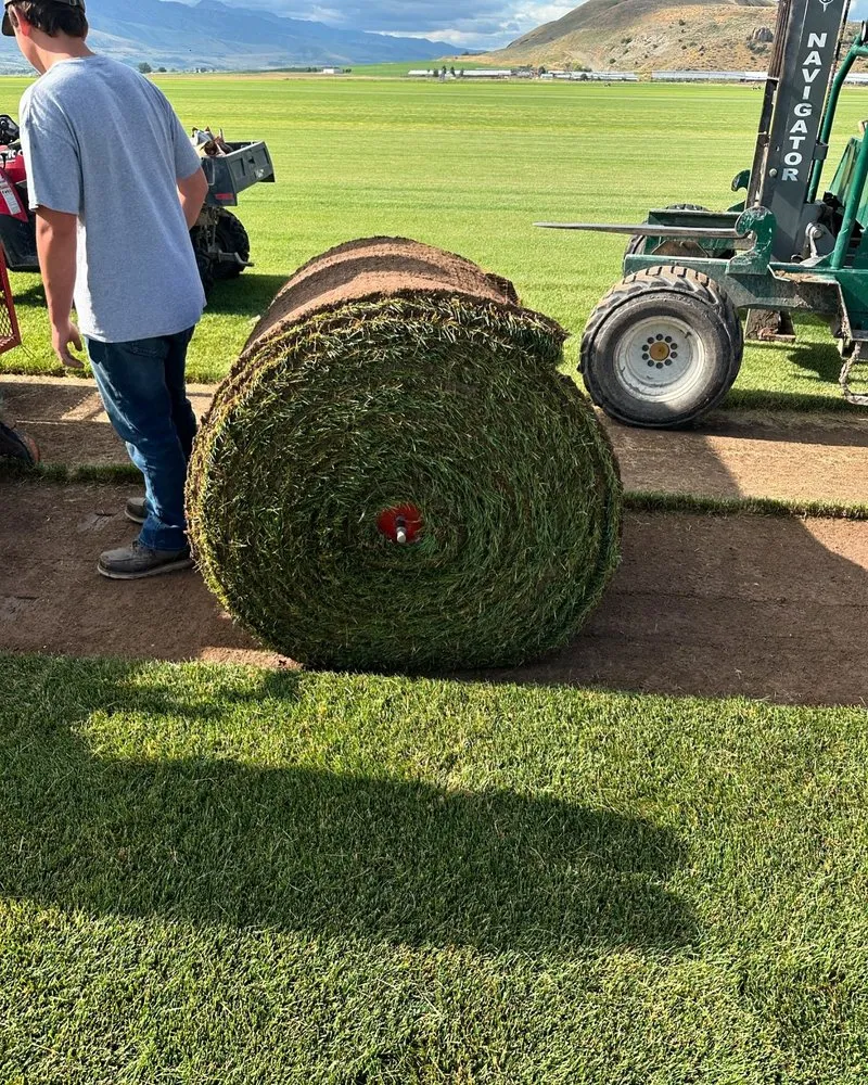 Local yard maintenance in Preston, ID - Hobbs Turf Farms