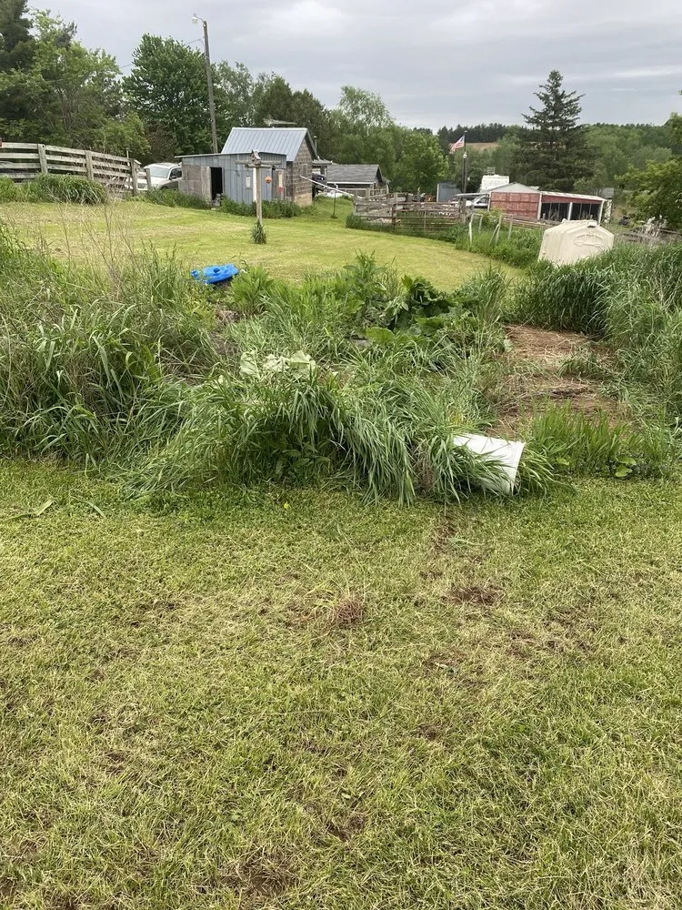 Affordable lawn mowing service for outdoor upgrades across Glenwood City, WI - Hobby Acres