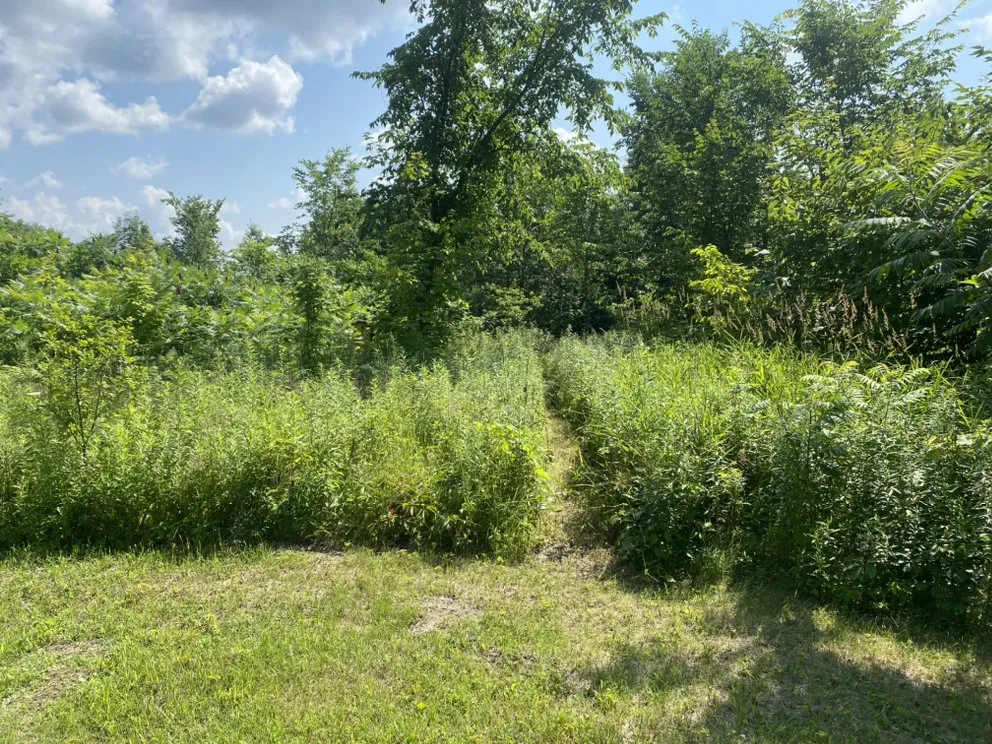 Affordable garden landscaping in Glenwood City, WI - Hobby Acres