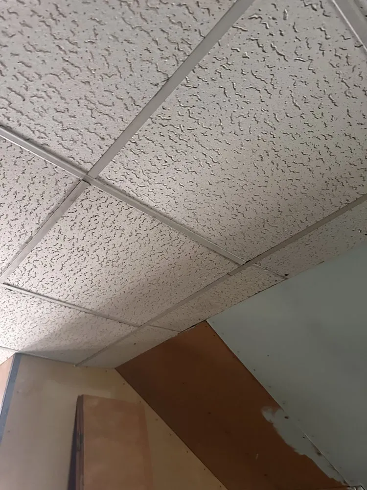 Reliable lawn mowing service for year-round maintenance across Roanoke, VA - Hobs Services