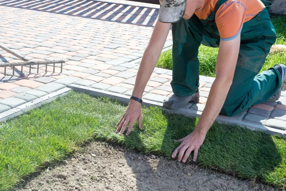 Affordable lawn care service for year-round maintenance in Sawyerville, AL by Hobson Lawn Care Service