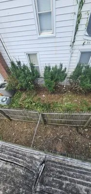 HOCUS POKUS LANDSCAPE & HOME IMPROVEMENT