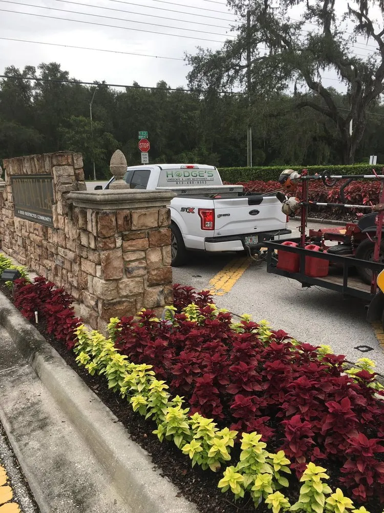 Reliable landscape design experts serving Wesley Chapel, FL - Hodge’s Landscape & Lawn Maintenance