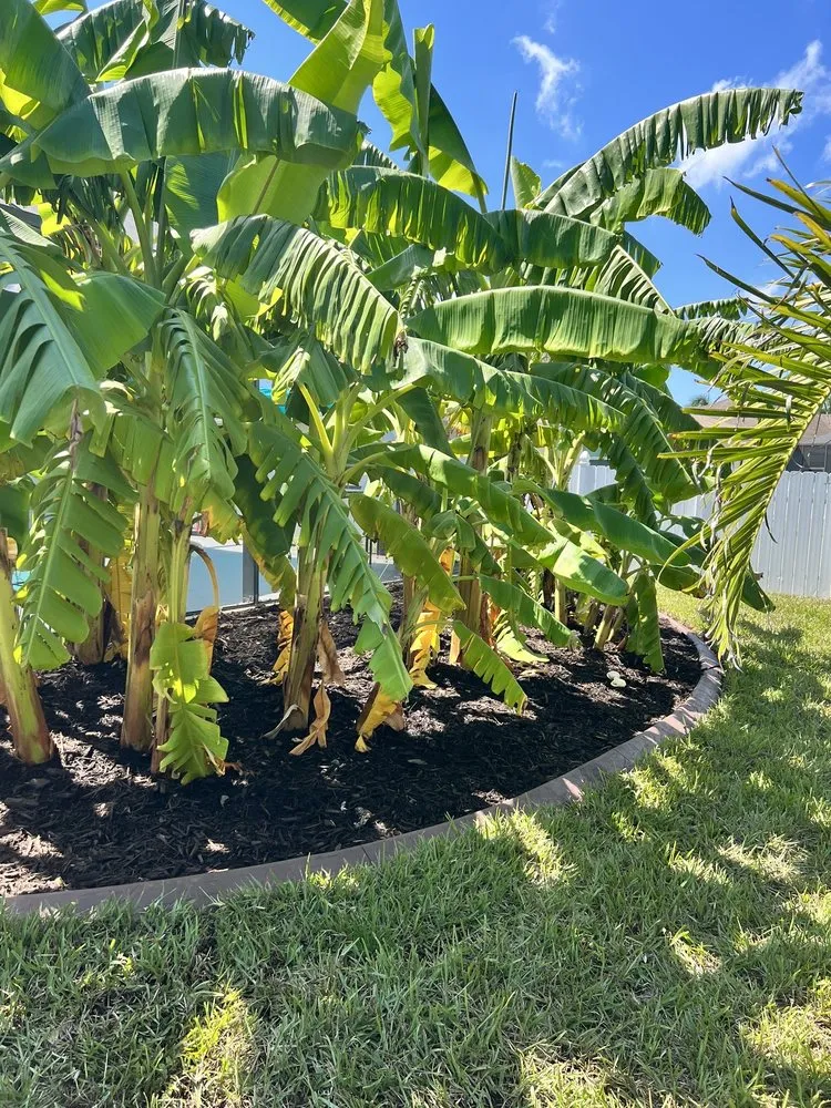 Trusted garden landscaping in Cape Coral, FL by Hodges Landscaping & More