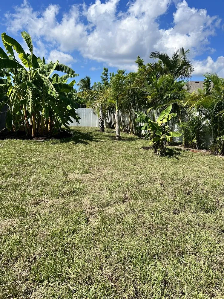 Trusted lawn mowing service in Cape Coral, FL - Hodges Landscaping & More