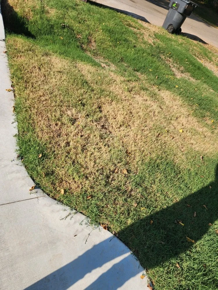 Reliable landscaping services experts serving Lexington, OK - Hodges Landscaping