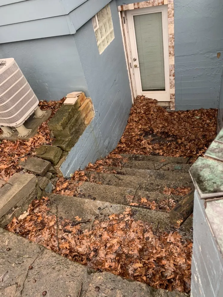 Trusted yard cleanup service in Cincinnati, OH by Hodges Renovations