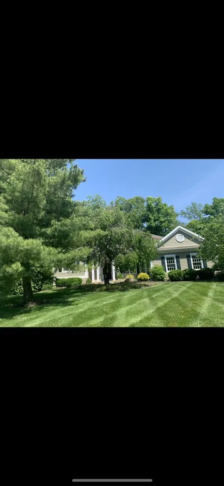 Professional landscape installation for year-round maintenance in Cincinnati, OH by Hodges Renovations