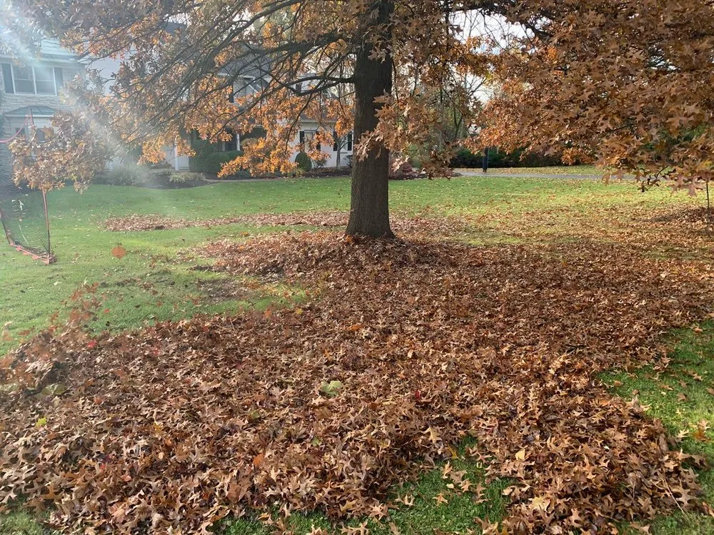 Professional outdoor landscaping for outdoor upgrades in Cincinnati, OH by Hodges Renovations