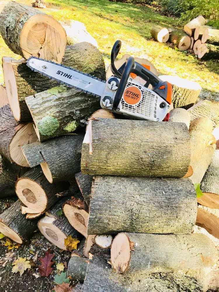 Expert yard cleanup service in Nottingham, PA - Hodgson Lawn and Land