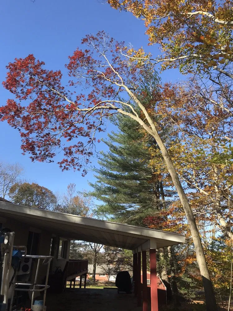 Professional landscaping services experts serving Nottingham, PA - Hodgson Lawn and Land