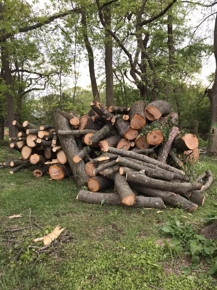 Top-rated outdoor landscaping near you in Nottingham, PA by Hodgson Lawn and Land