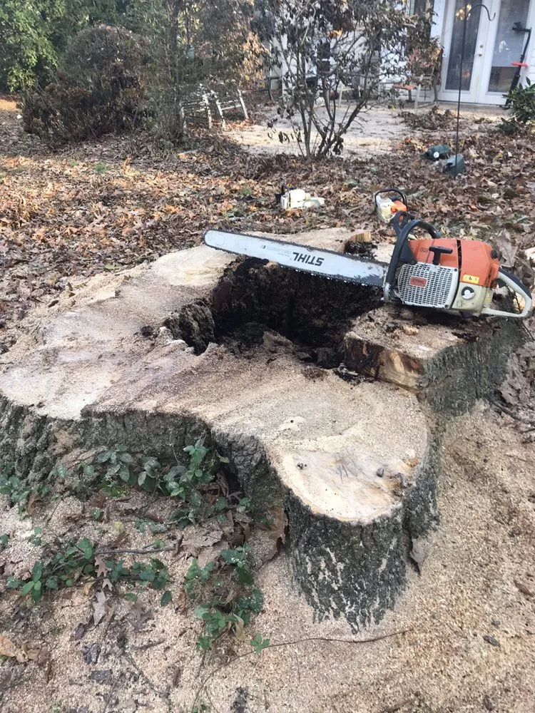 Top-rated lawn mowing service for year-round maintenance across Nottingham, PA - Hodgson Lawn and Land