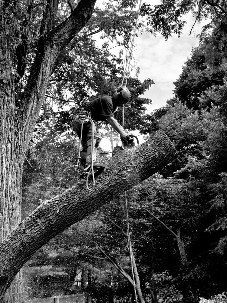 Expert lawn mowing service experts serving Nottingham, PA - Hodgson Lawn and Land