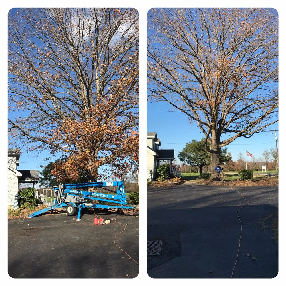 Reliable yard maintenance experts serving Nottingham, PA - Hodgson Lawn and Land