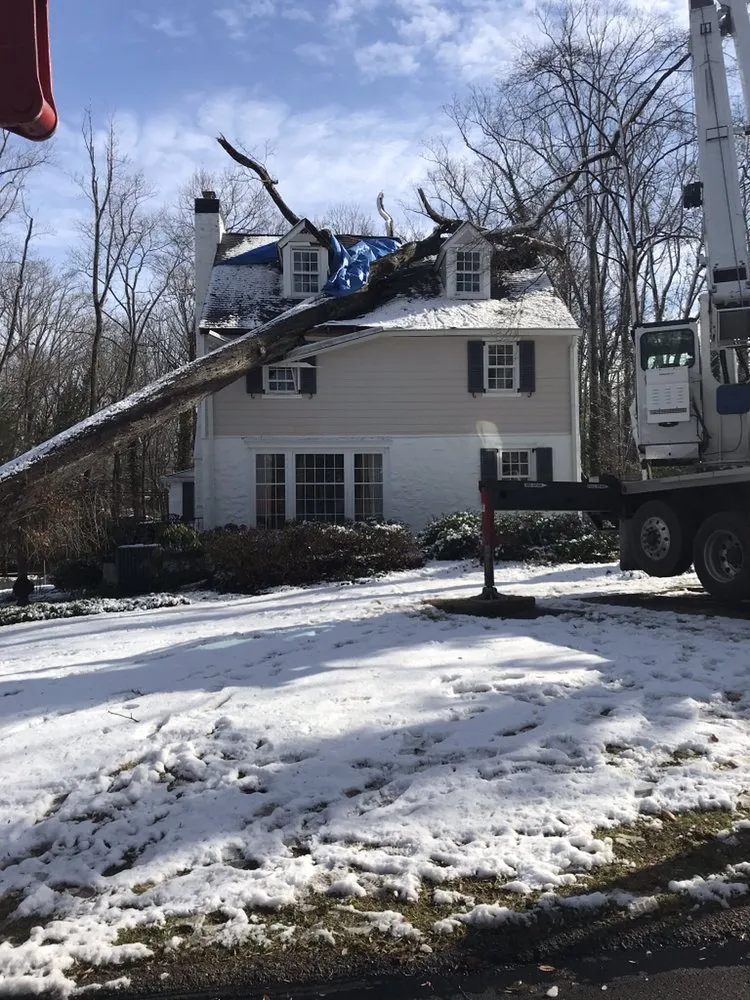 Reliable garden landscaping experts serving Nottingham, PA - Hodgson Lawn and Land