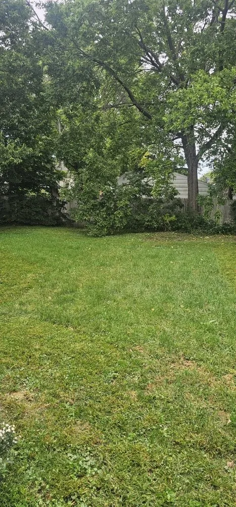 Custom landscaping services for residential properties across Rochester, MN - Hodkinson Enterprises