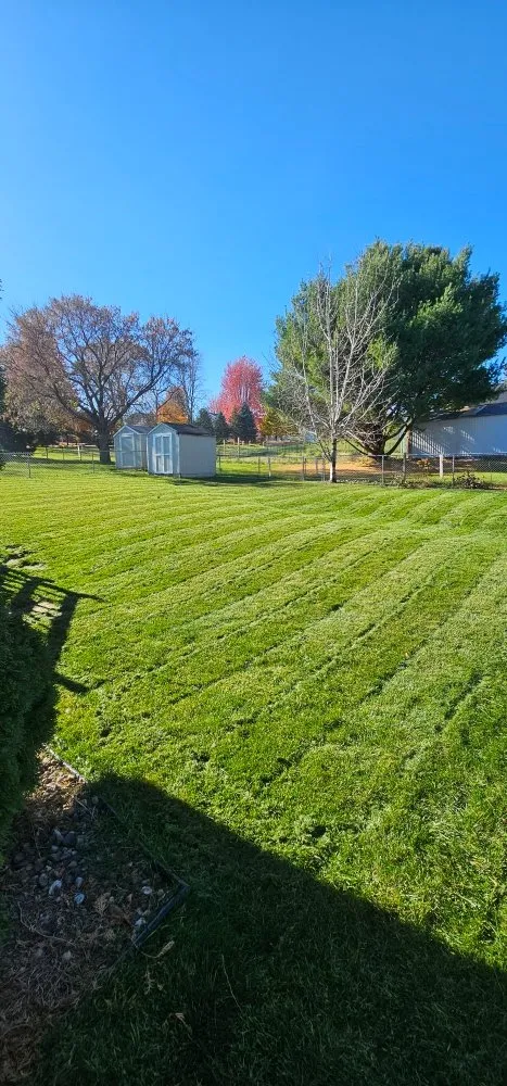 Top-rated yard maintenance in Rochester, MN - Hodkinson Enterprises