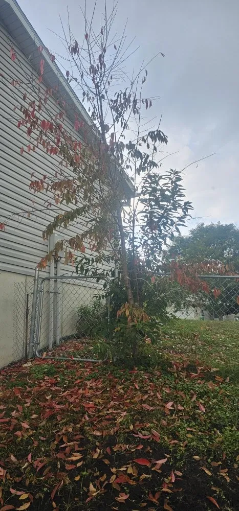 Custom landscape installation experts serving Rochester, MN - Hodkinson Enterprises