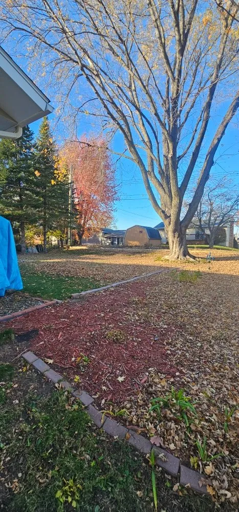 Top-rated garden landscaping for outdoor upgrades across Rochester, MN - Hodkinson Enterprises