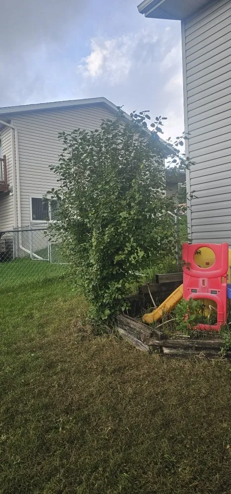 Professional yard cleanup service near you in Rochester, MN by Hodkinson Enterprises