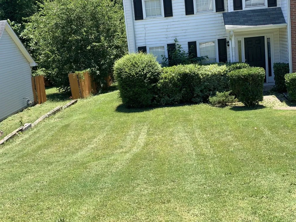 Local landscape installation experts serving Jonesboro, GA - Hodo’s lawncare