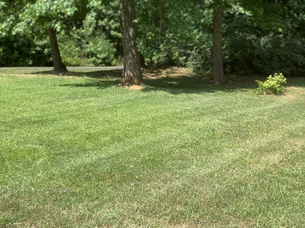 Local landscaping services experts serving Jonesboro, GA - Hodo’s lawncare