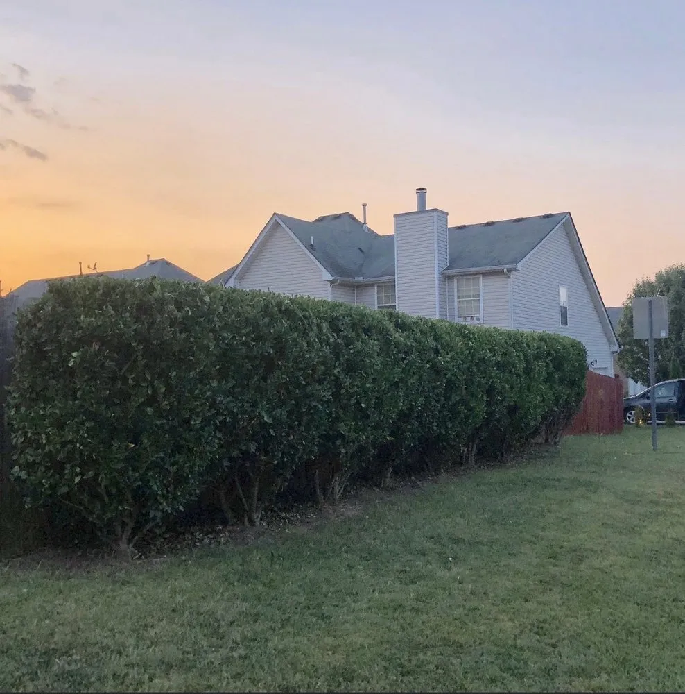 Custom landscaping services for year-round maintenance across Jonesboro, GA - Hodo’s lawncare