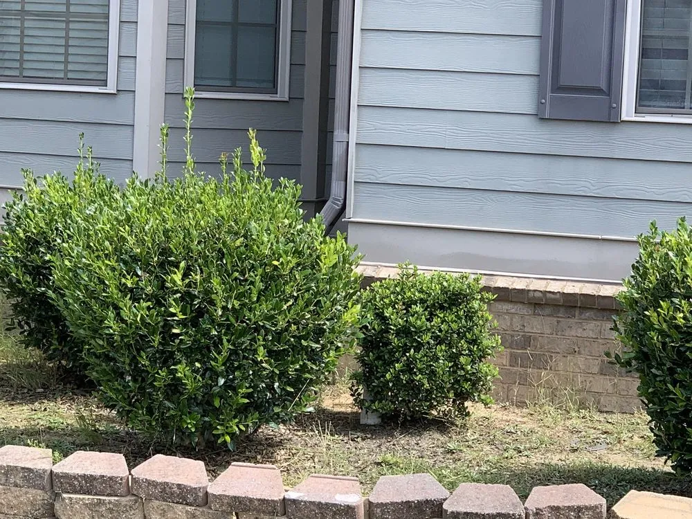 Reliable landscaping services in Jonesboro, GA by Hodo’s lawncare