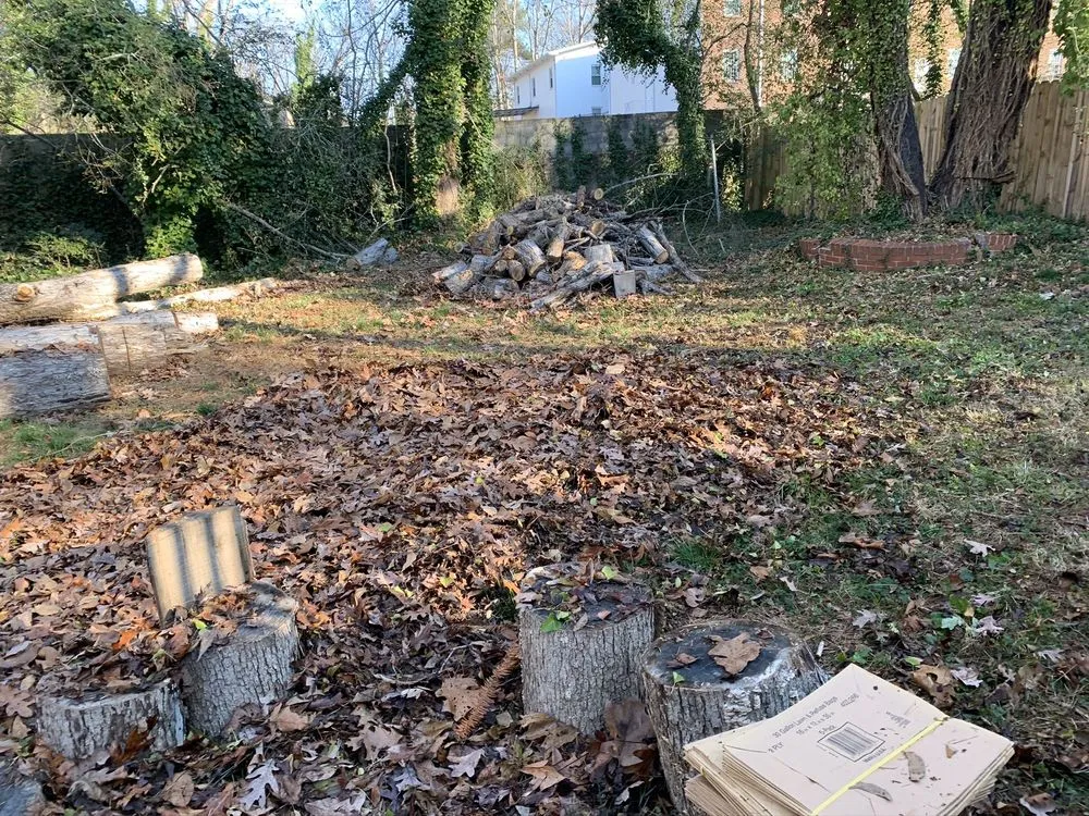 Top-rated outdoor landscaping experts serving Jonesboro, GA - Hodo’s lawncare