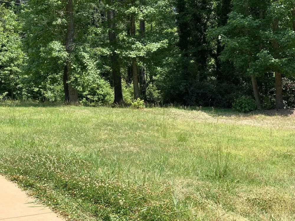 Top-rated lawn care service experts serving Jonesboro, GA - Hodo’s lawncare