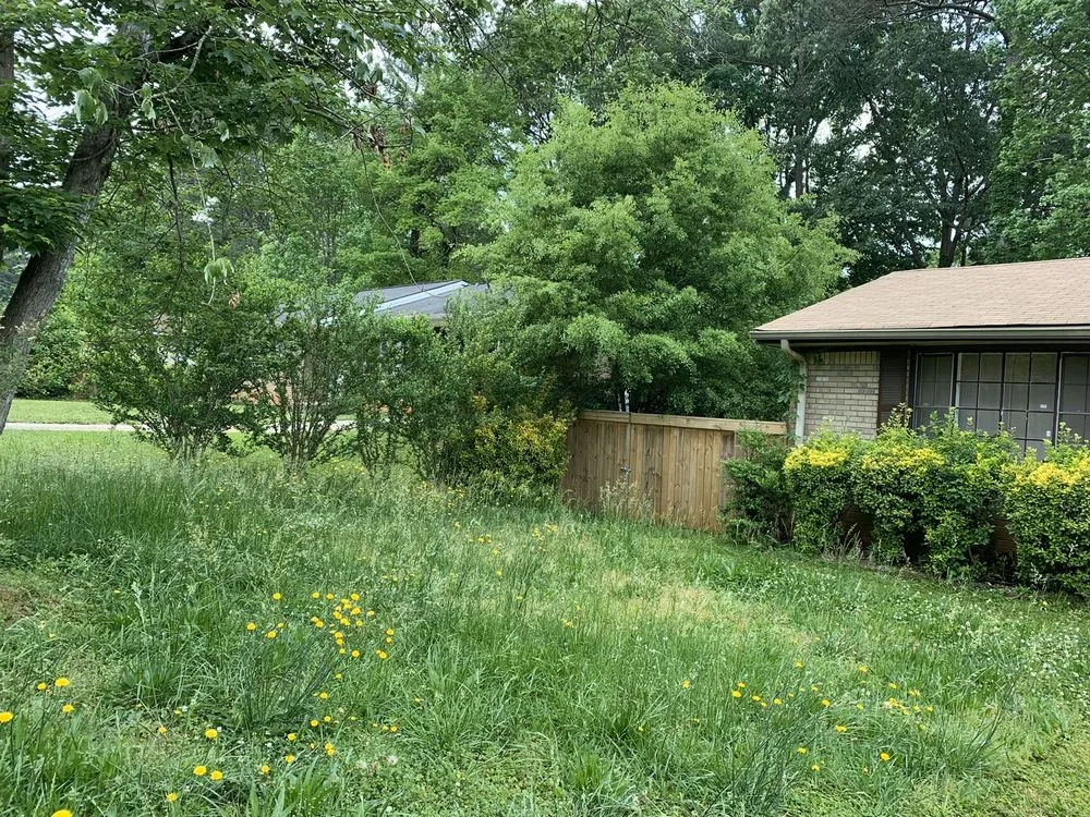 Trusted yard cleanup service for residential properties across Jonesboro, GA - Hodo’s lawncare