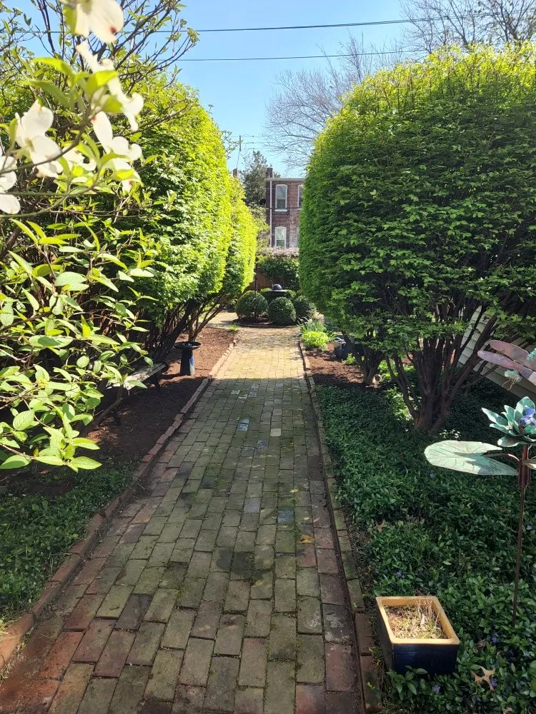 Custom yard maintenance with custom design across Perryville, MO - Hoehns Landscaping