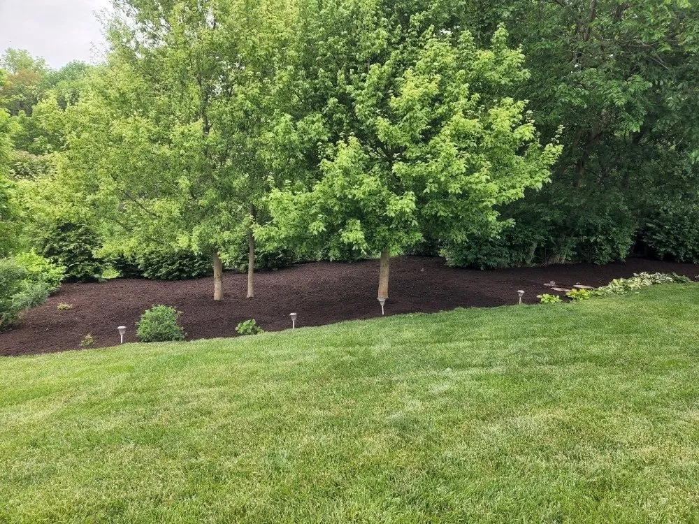 Professional landscape design in Perryville, MO by Hoehns Landscaping