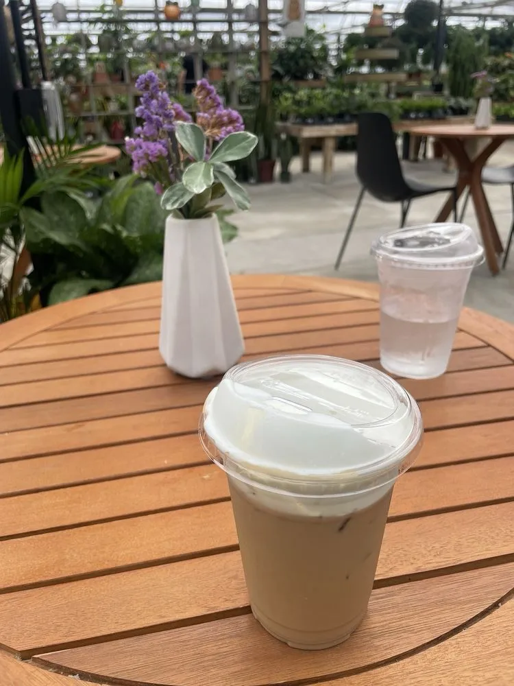 Reliable yard maintenance experts serving Holland, OH - Hoen's Garden Center & Landscaping