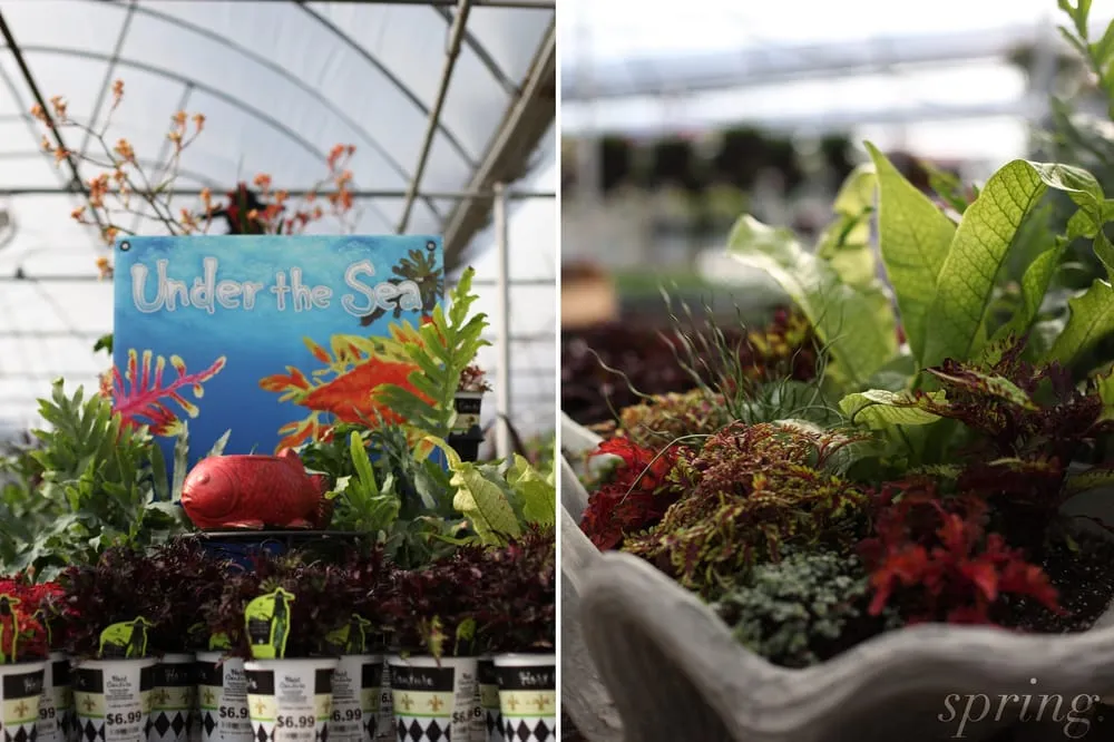 Local yard cleanup service in Holland, OH - Hoen's Garden Center & Landscaping