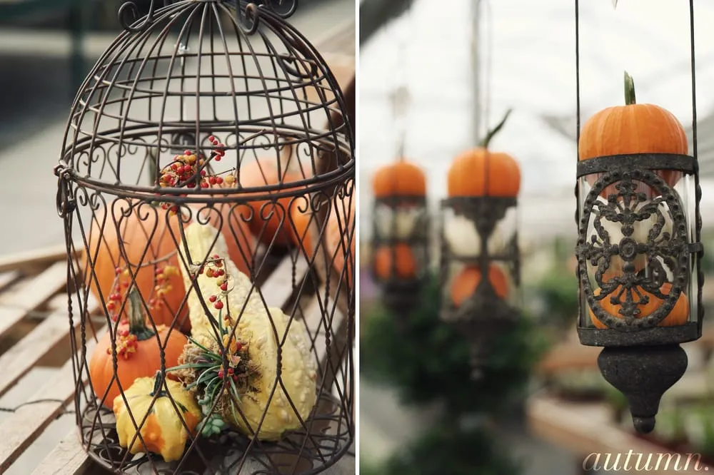 Expert landscape installation experts serving Holland, OH - Hoen's Garden Center & Landscaping