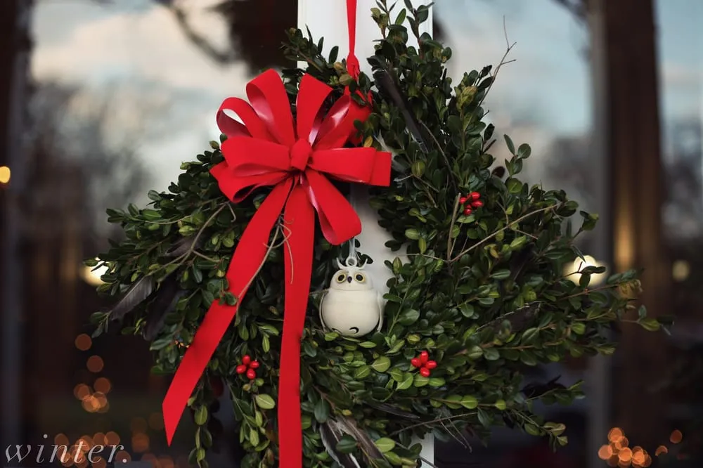 Top-rated yard cleanup service in Holland, OH - Hoen's Garden Center & Landscaping