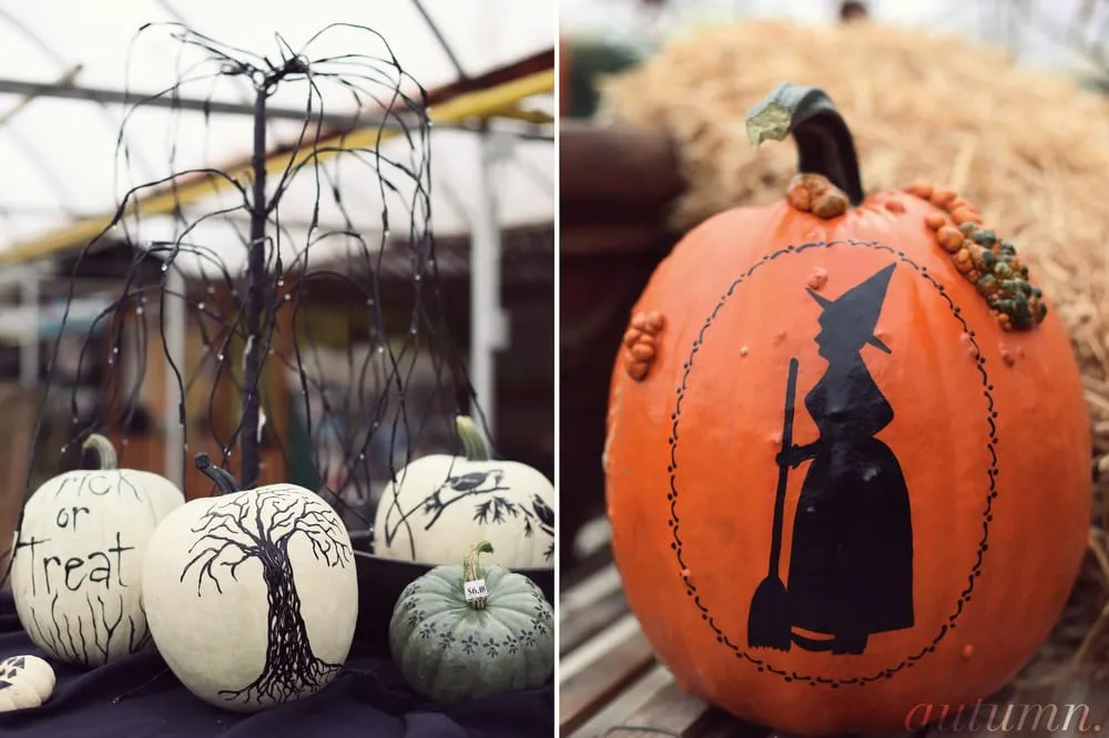 Expert lawn care service experts serving Holland, OH - Hoen's Garden Center & Landscaping