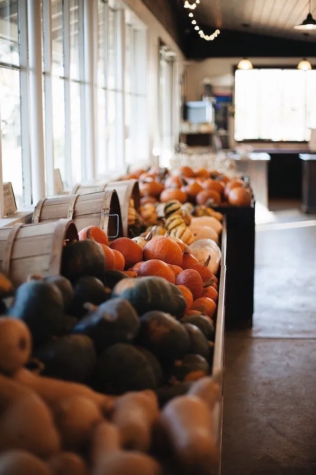 Top-rated landscape design experts serving Holland, OH - Hoen's Garden Center & Landscaping