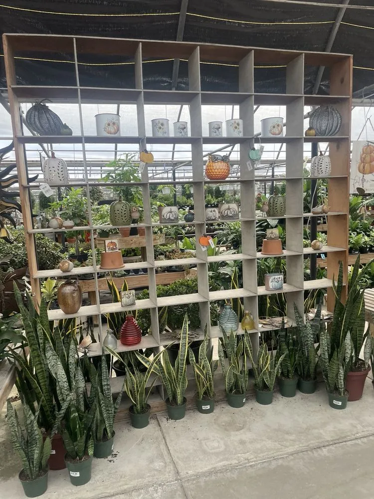 Trusted lawn care service for homes in Holland, OH by Hoen's Garden Center & Landscaping